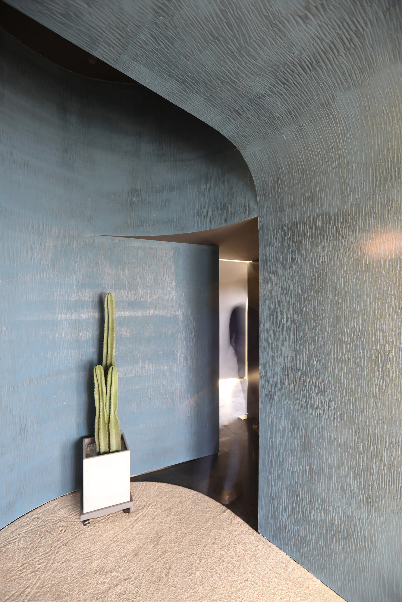 A curved threshold marks the transition between contrasting interior finishes.